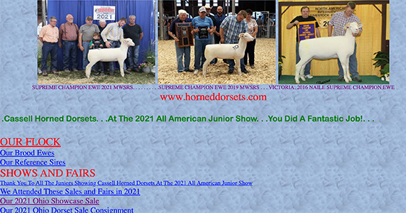 Cassell Horned Dorsets