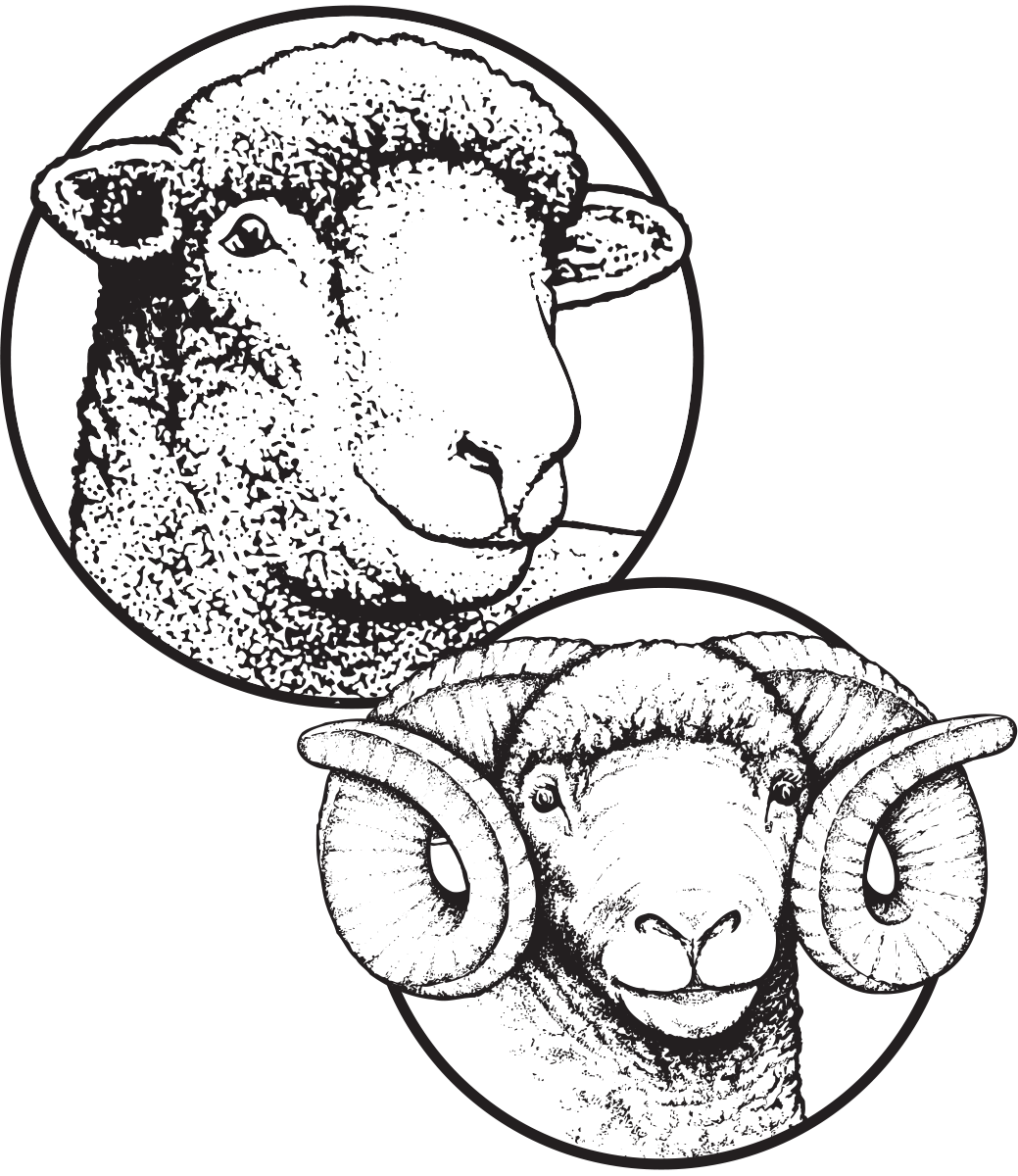 Continental Dorset Club