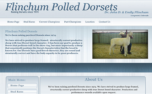 Flinchum Polled Dorsets